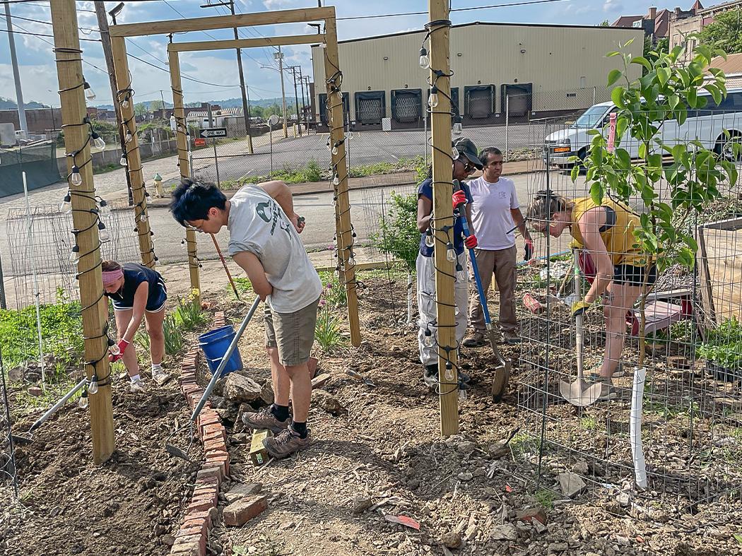 Volunteers working together in a garden, digging and planting between wooden archways wrapped with string lights, with brick borders, garden tools, and an industrial area visible beyond the fence.