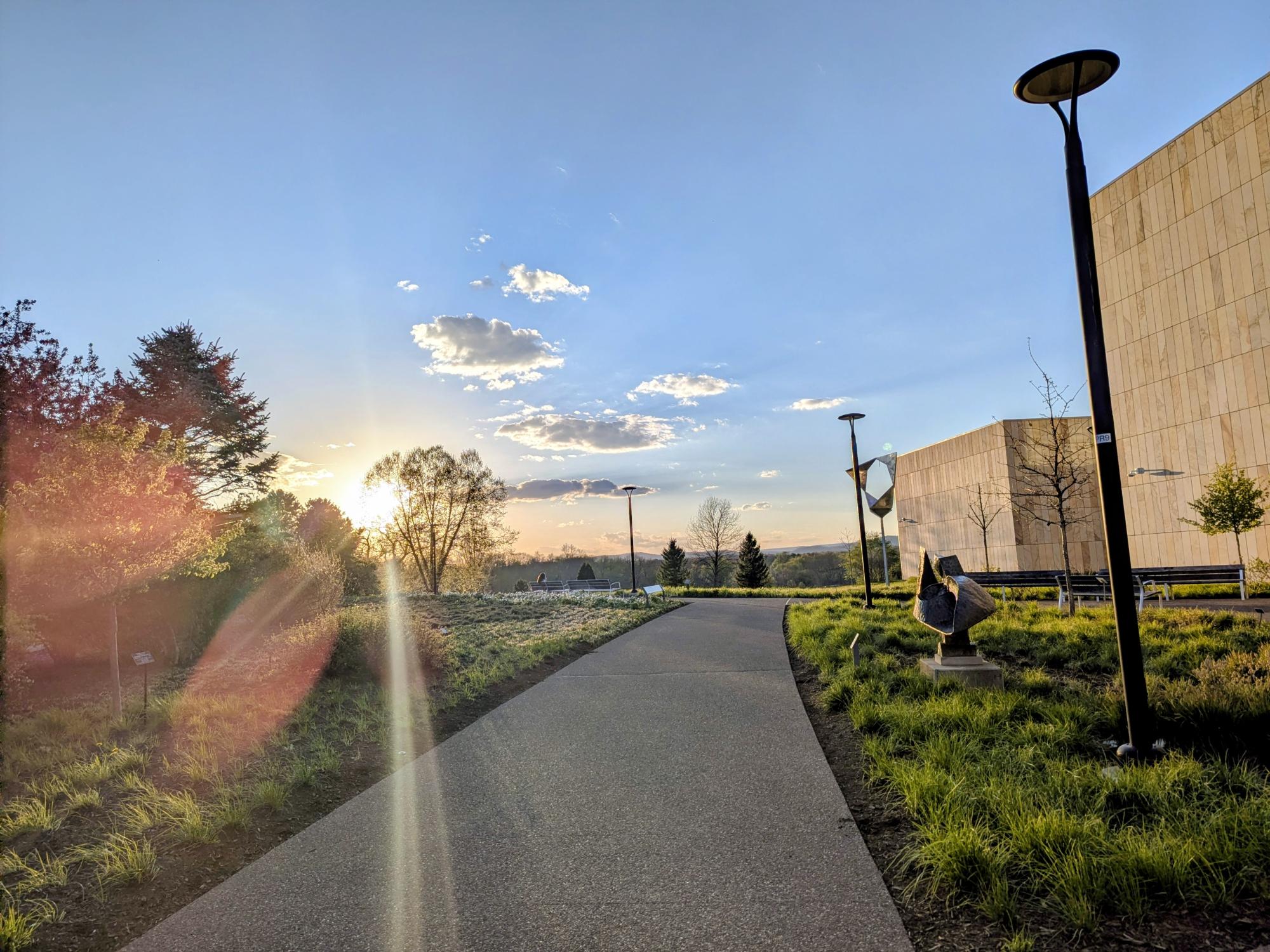 A setting sun peeks between two trees at the end of a path with two buildings and streetlights on the right