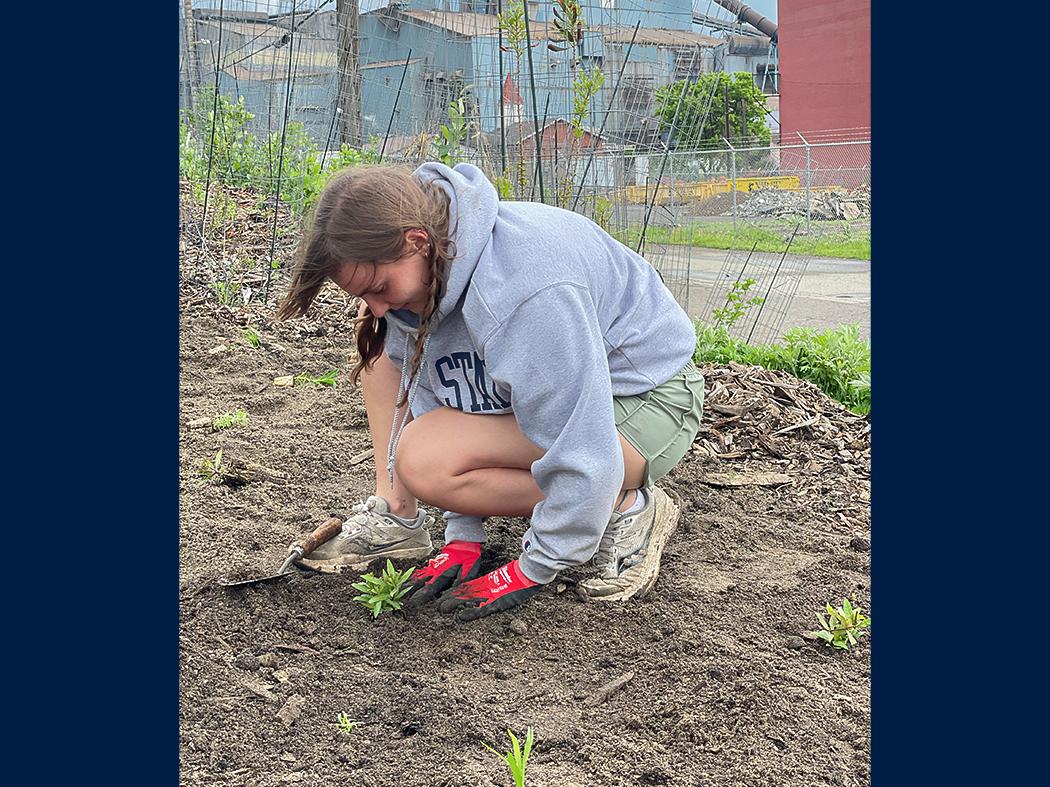 Person crouching in a garden bed, planting a small seedling by hand, with soil and young plants around them.