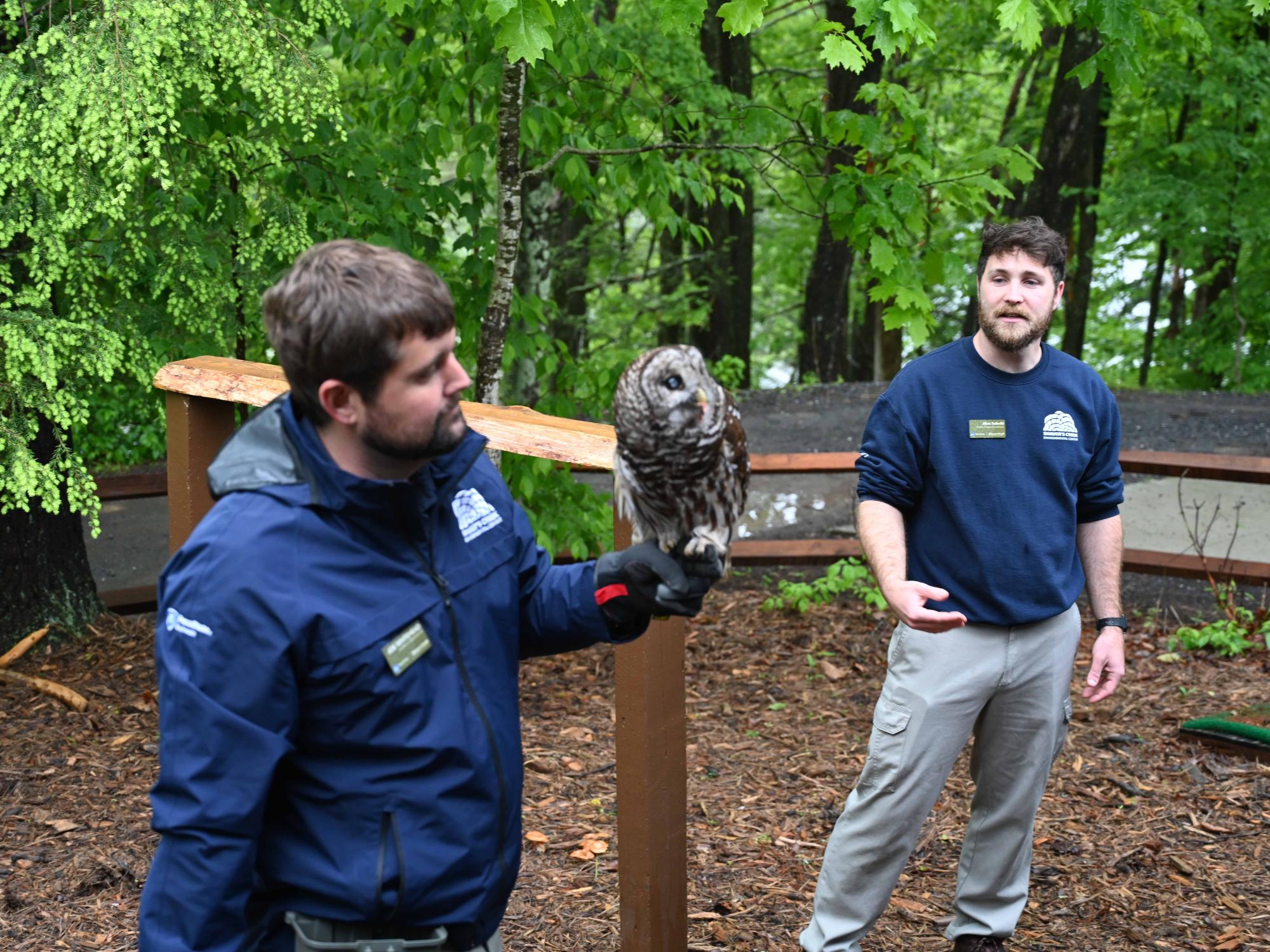 An educator wearing a glove holds a barred owl during an outdoor wildlife presentation as another staff member speaks nearby.