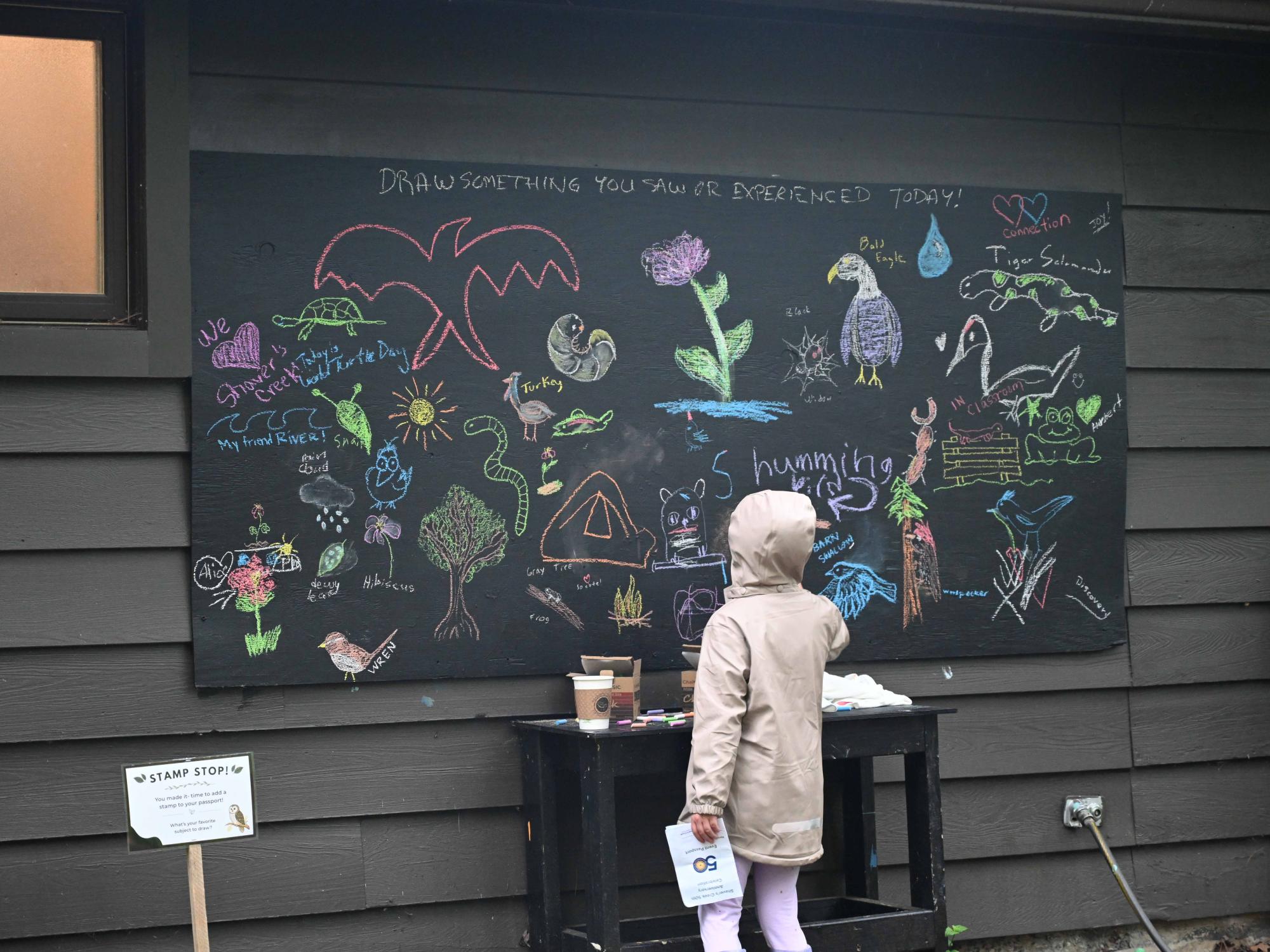 A child stands at a large chalkboard covered in colorful drawings and words about nature and wildlife.
