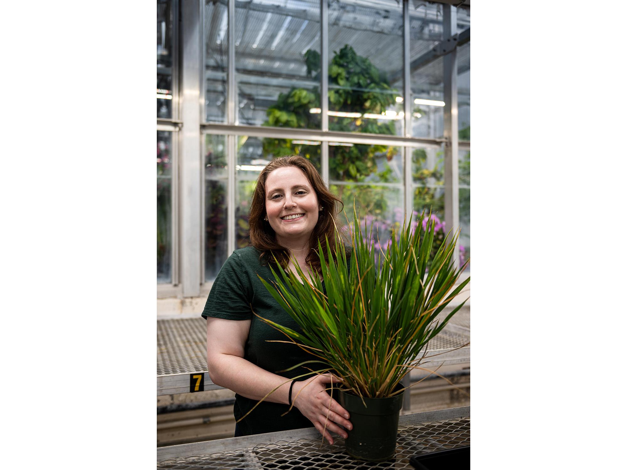 Person stands in a greenhouse, holding a plant. 