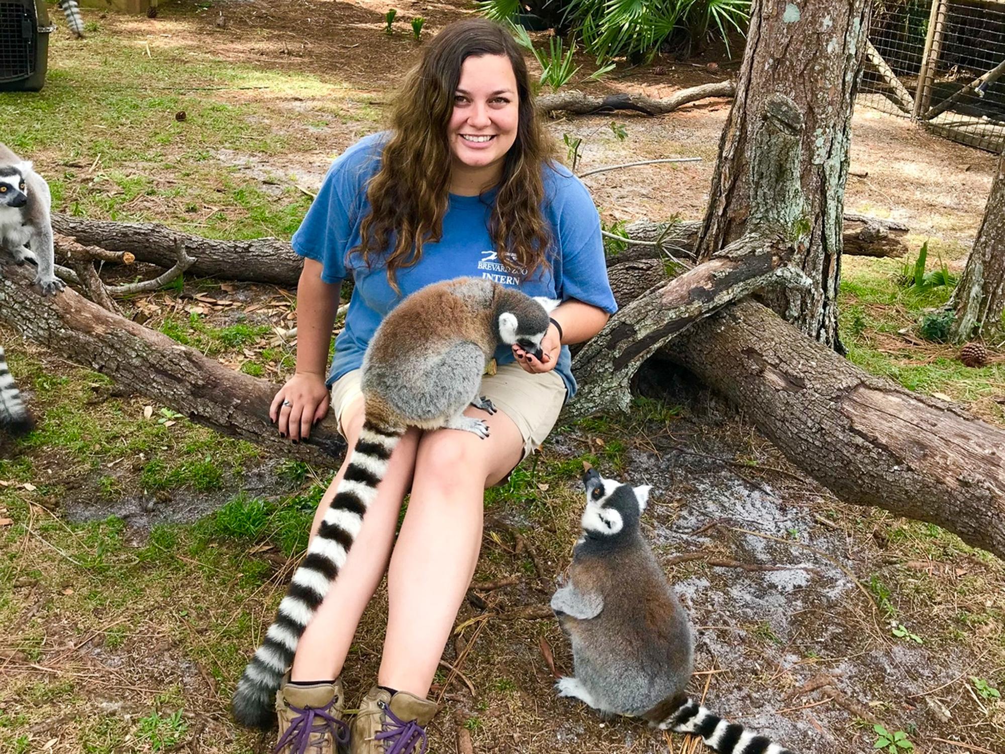  From Beaver to the wild life 