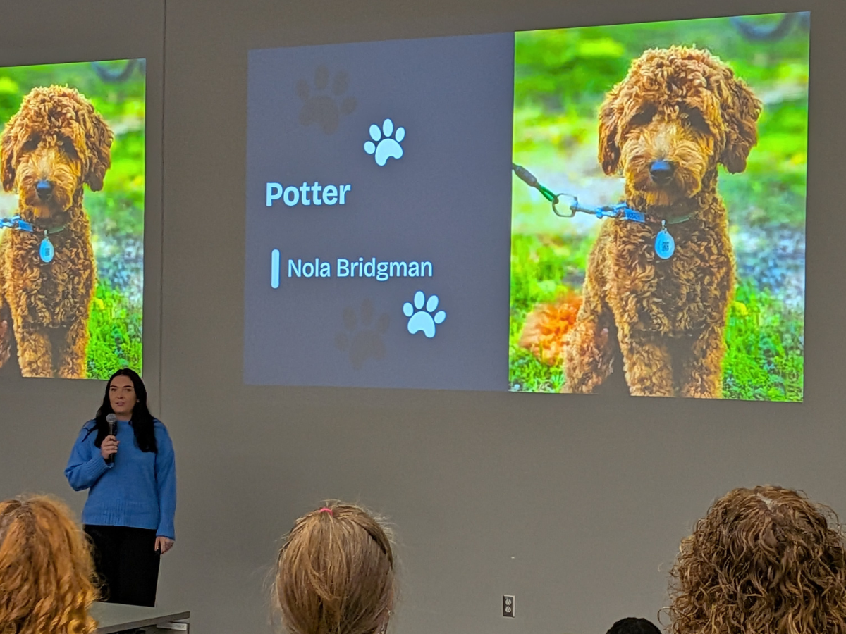 Nola Bridgman presenting her case study