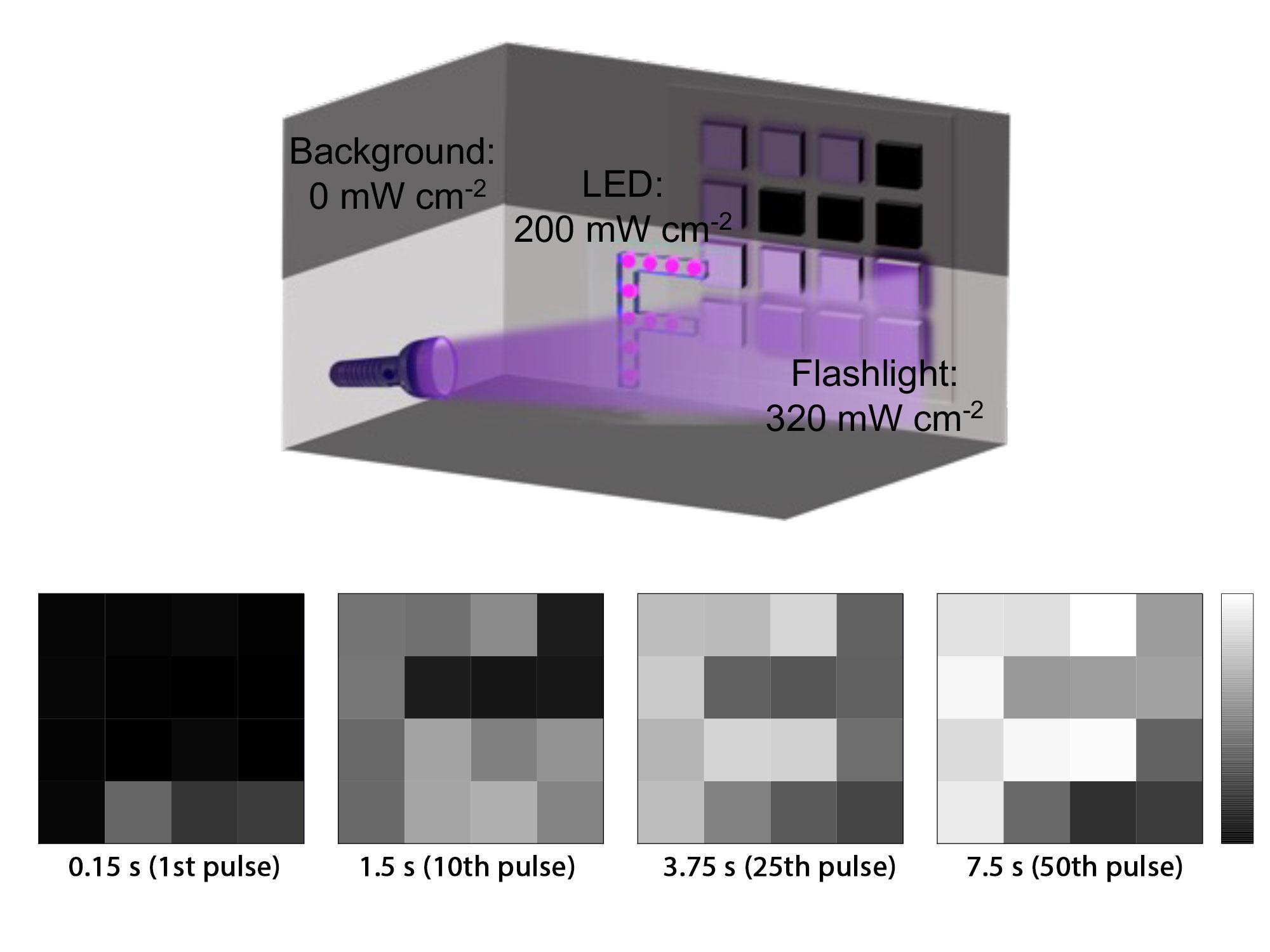 Diagram of a light-exposure setup with background, LED, and flashlight conditions, plus grayscale heatmaps showing the light signal increasing over time.