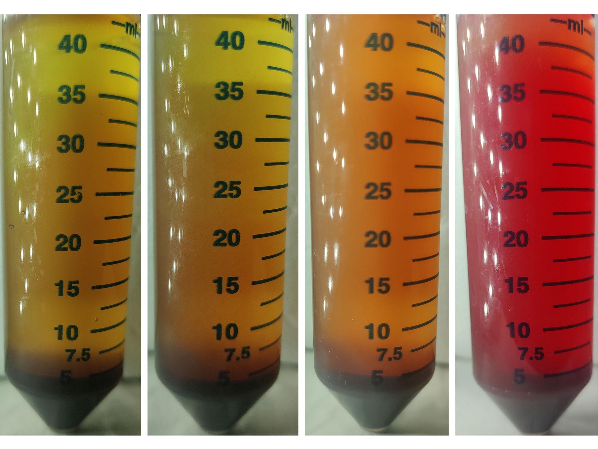 A scientific figure showcasing four vials of blood mixed with the teams new culturing broth. The apperance of each vial varies grows darker as the rate of orbit increases.