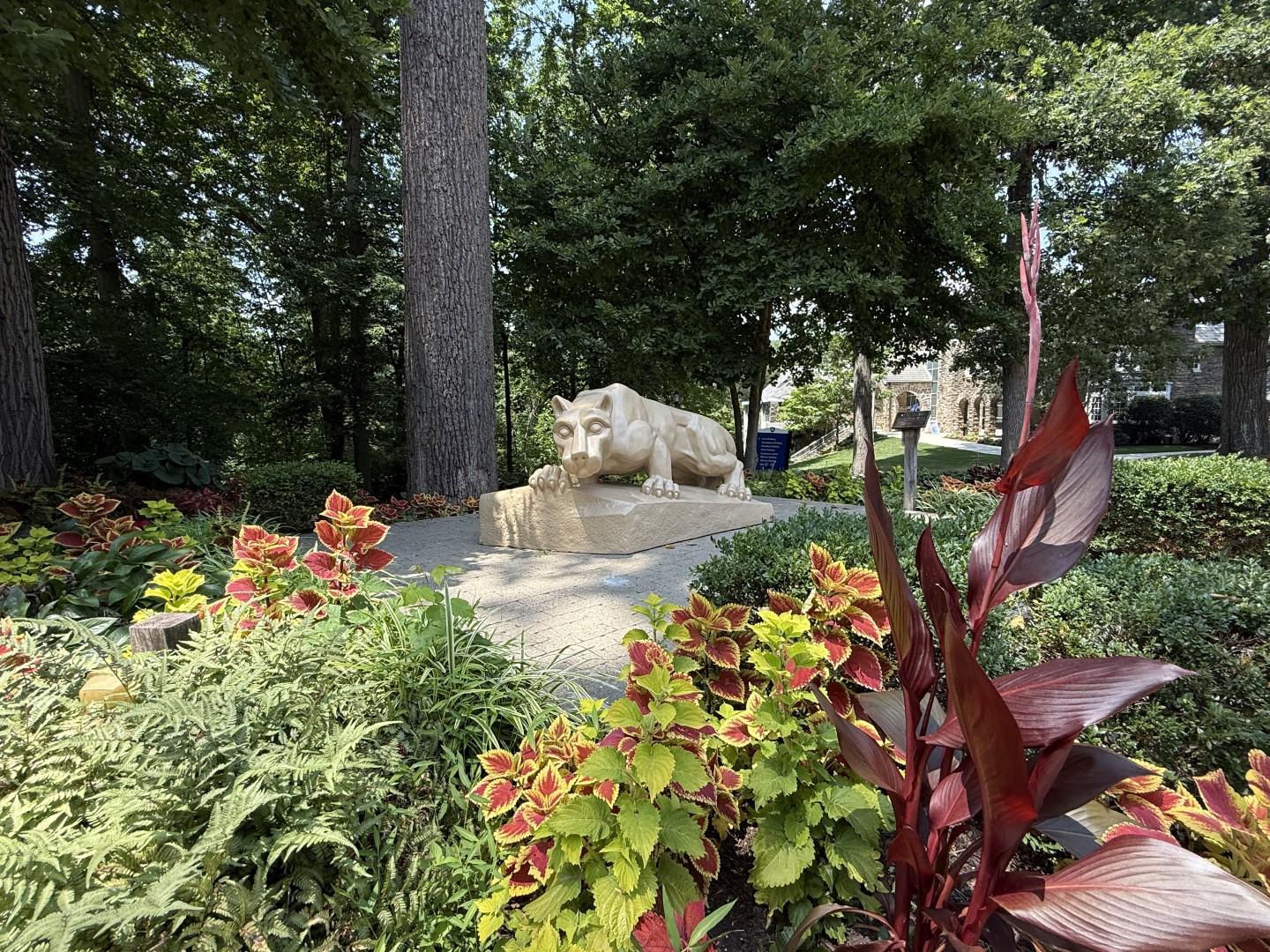 A Nittany Lion Statue in the summer