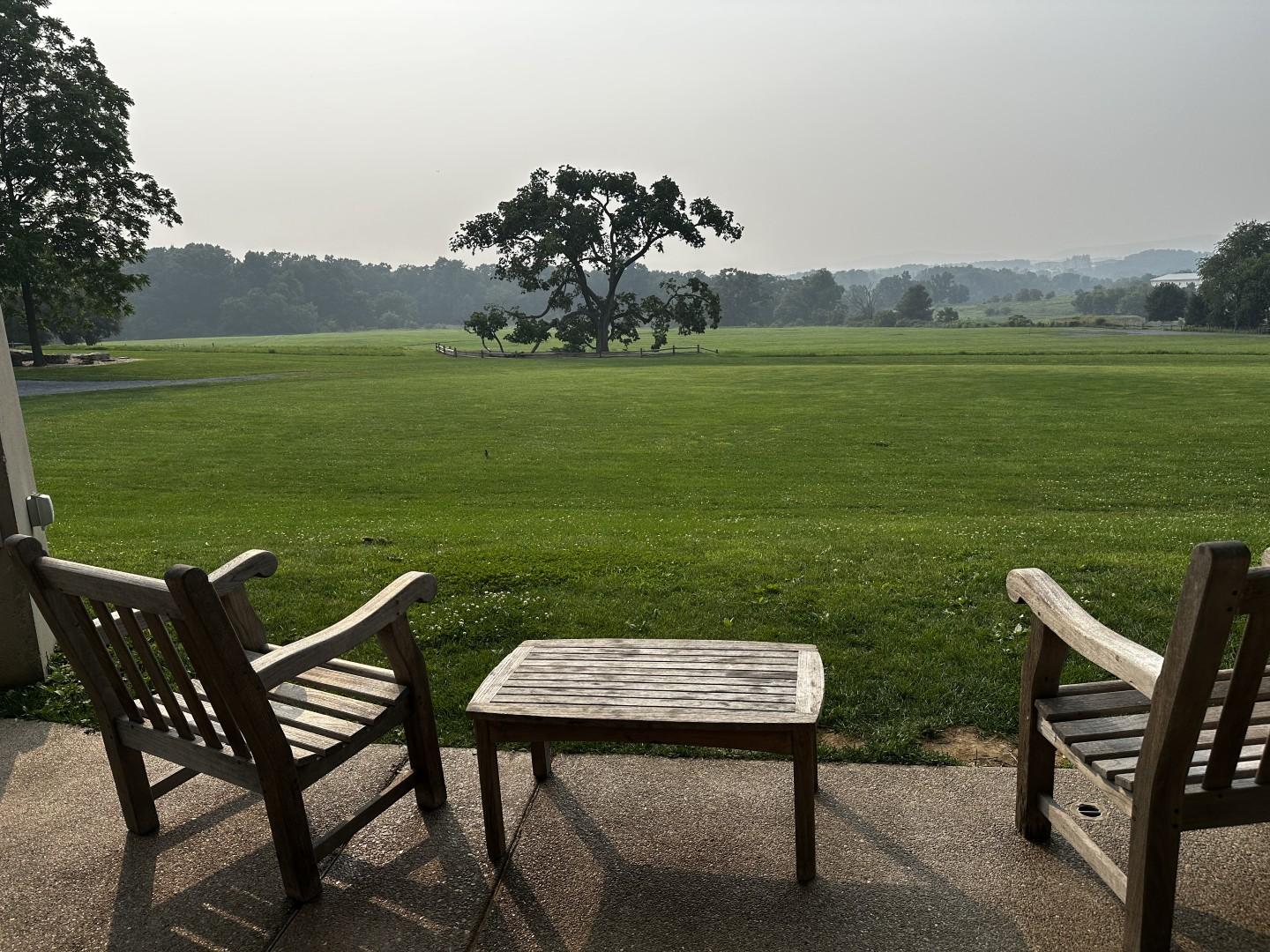 A picture of two chairs and a table facing a faraway lone tree