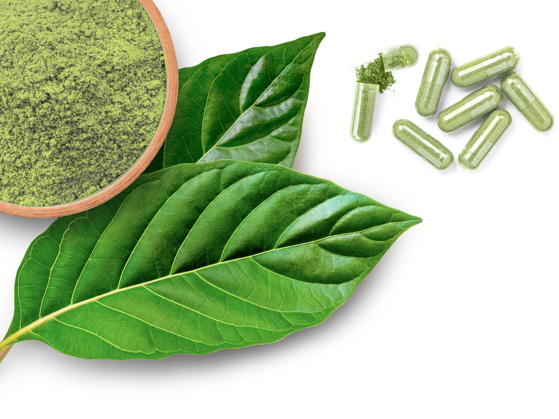 Green medicine capsules with powder and Kratom leaves.