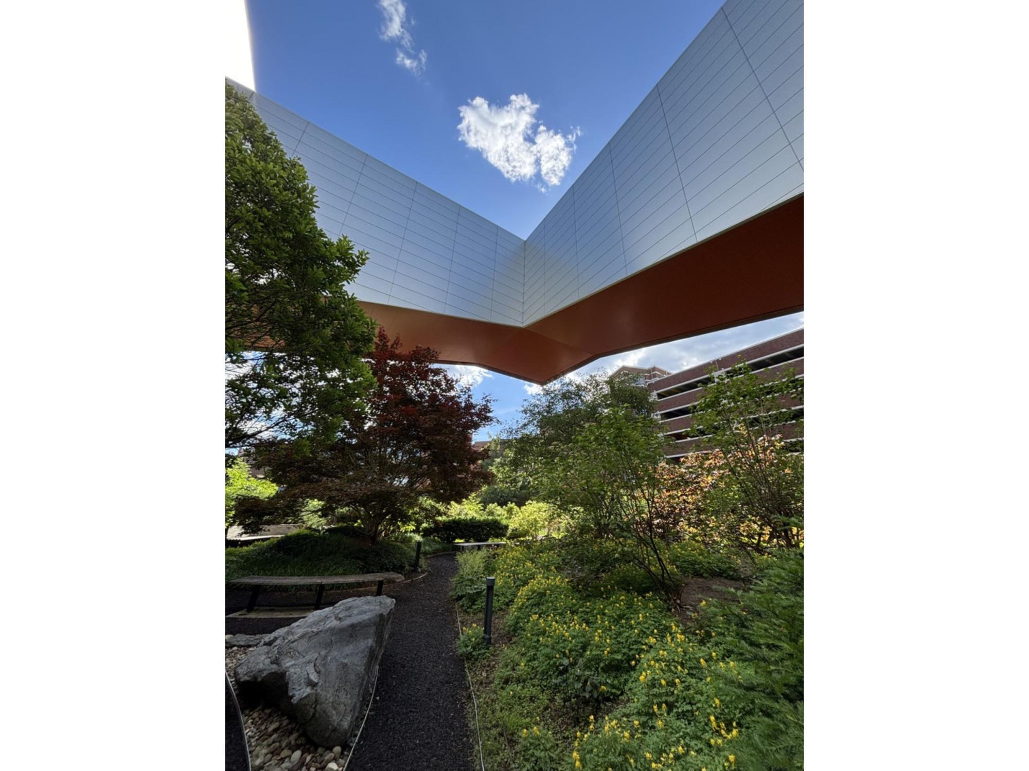 A blue sky above a brick building with green trees and plants in the foreground