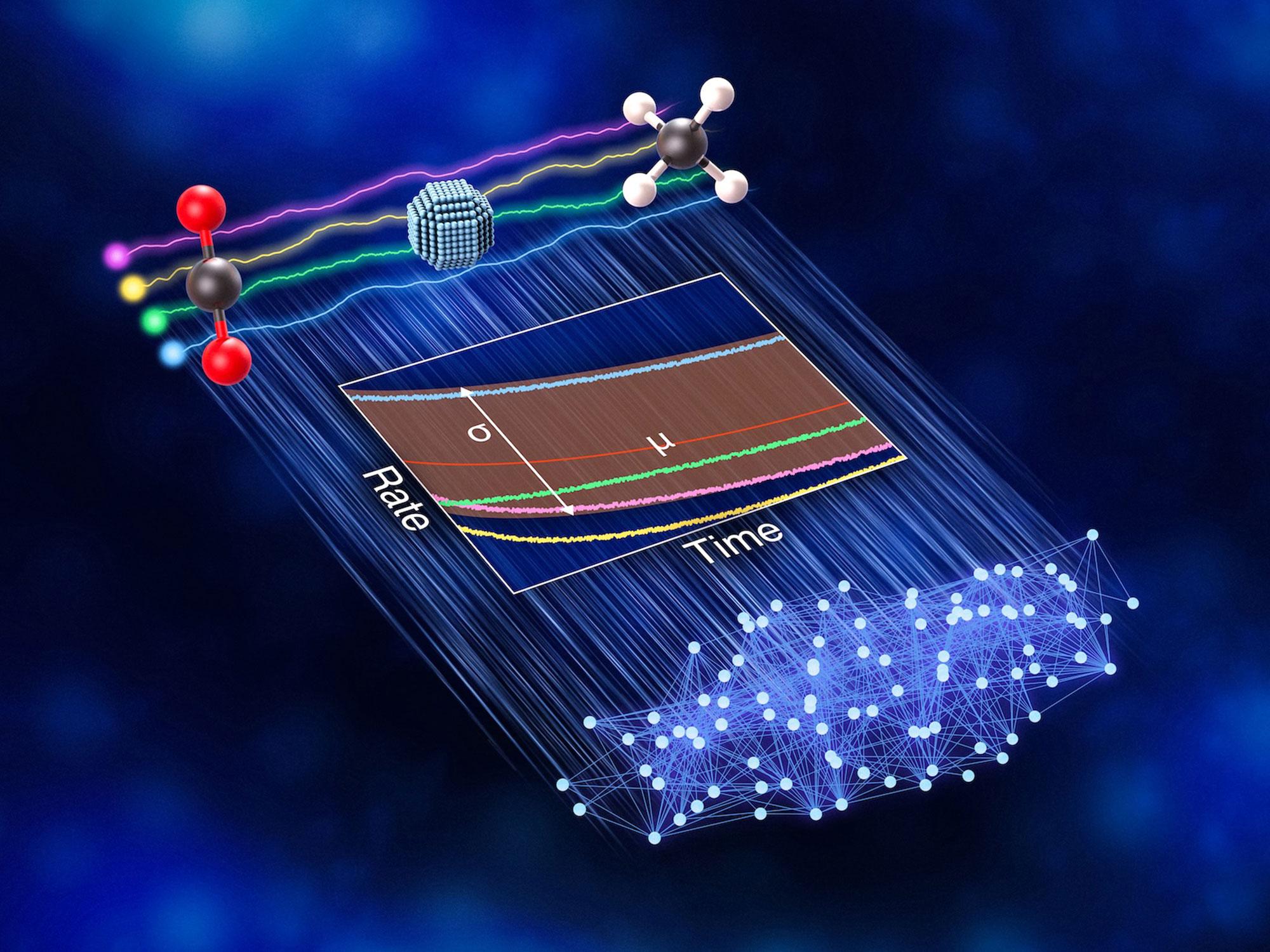  Variations between labs can misinform scientific AI models, team reports 