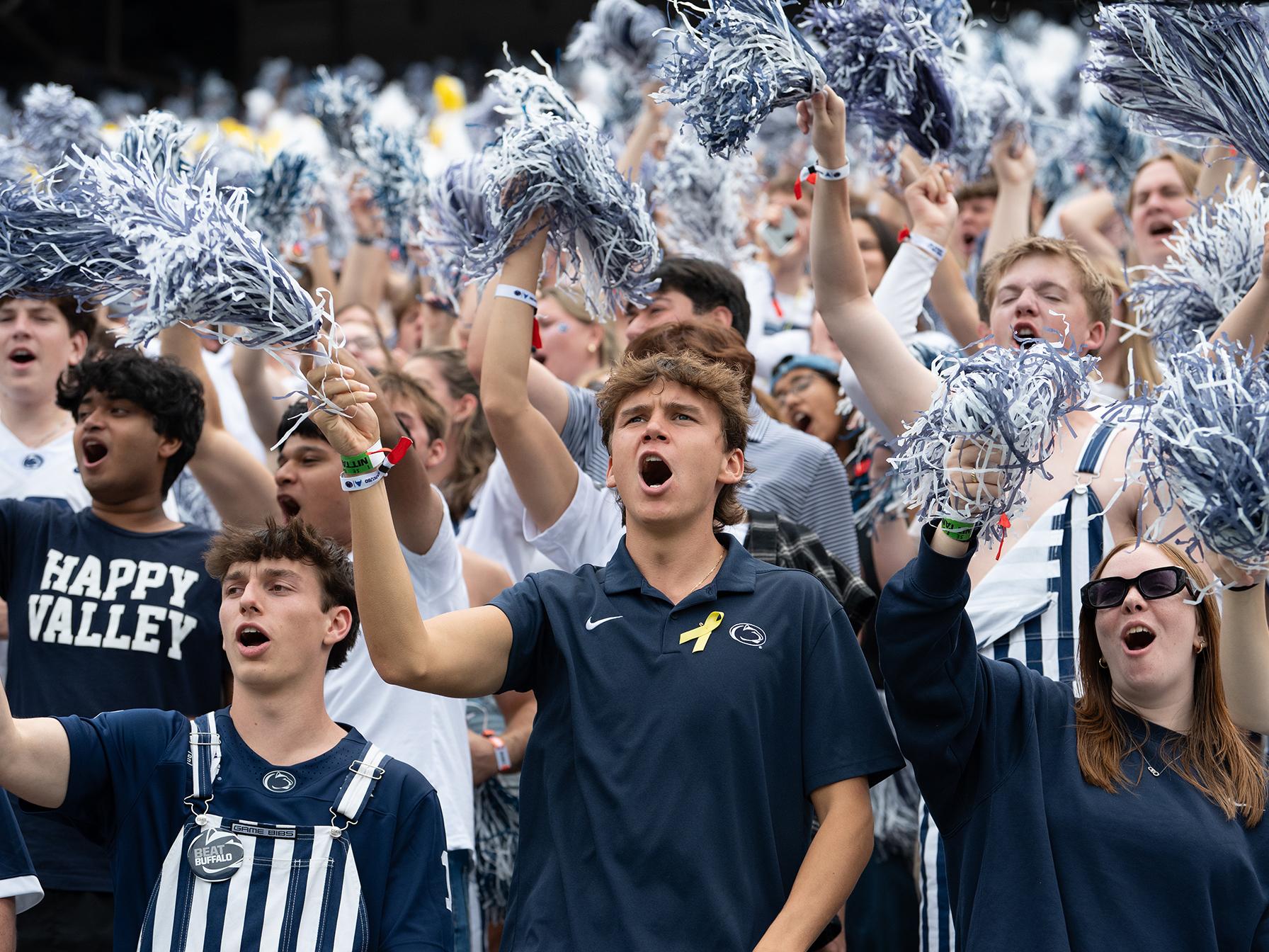 Fans waving pom poms