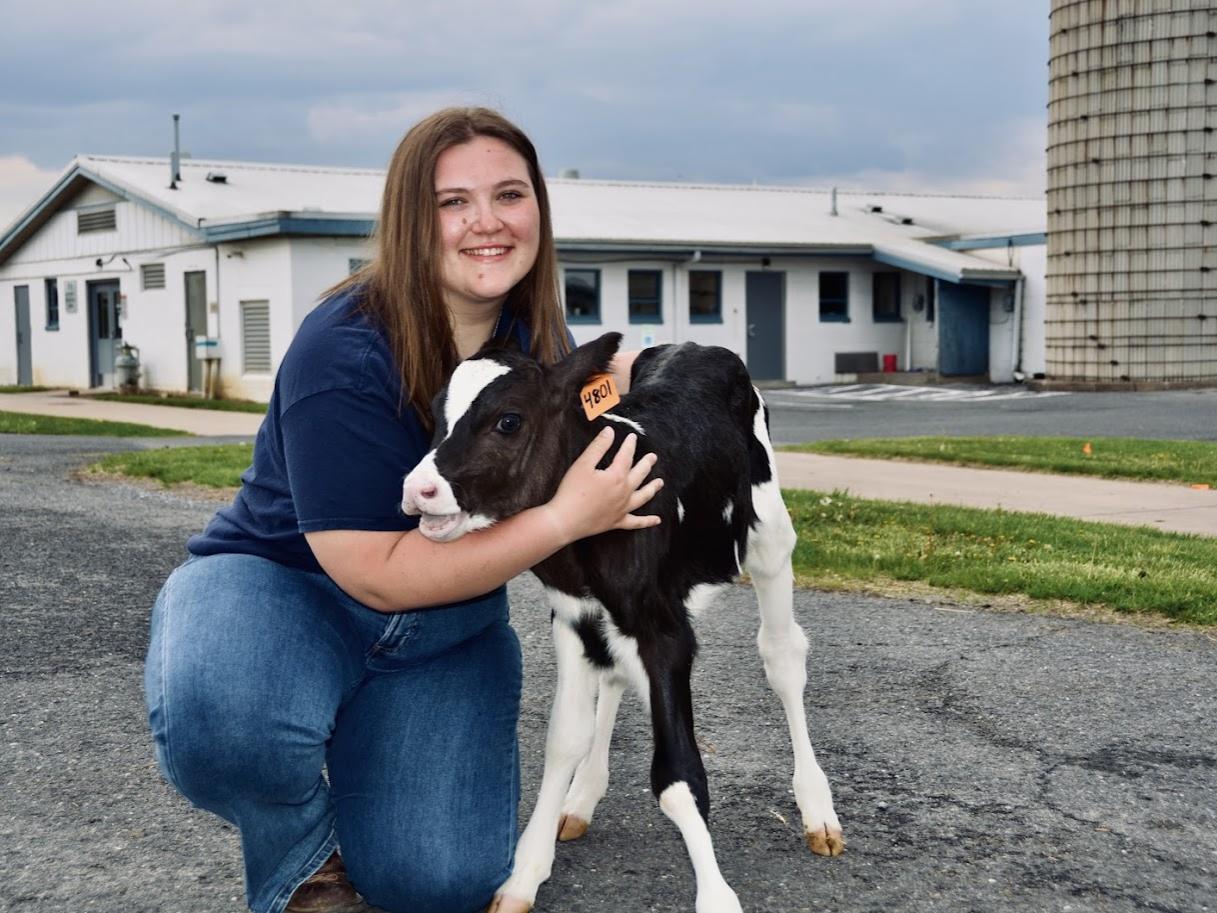 Hannah Mansfield posing with a calf at the Penn State Dairy Barns