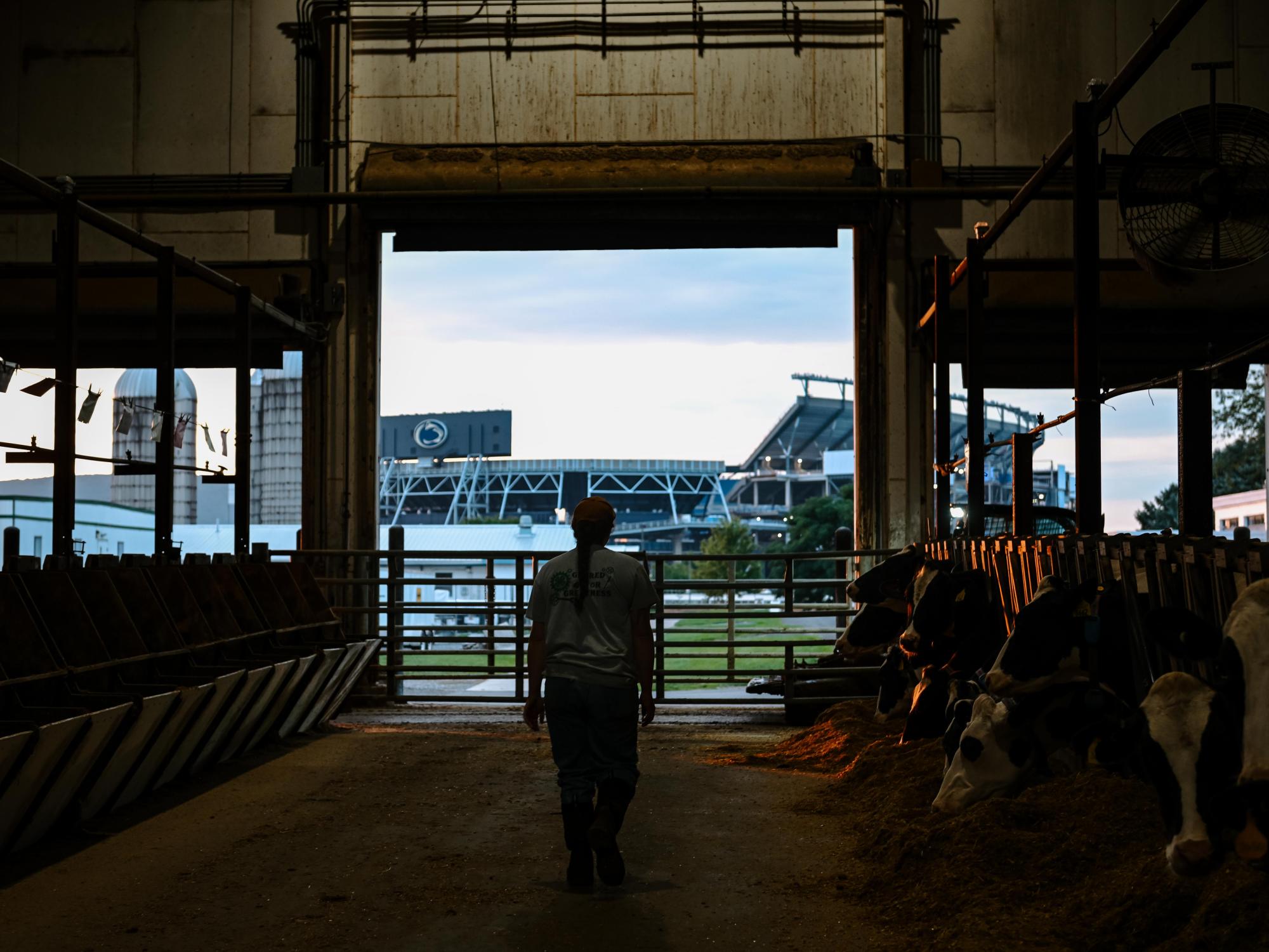 The silhouette of a student leaving a barn with Beaver Stadium in the background