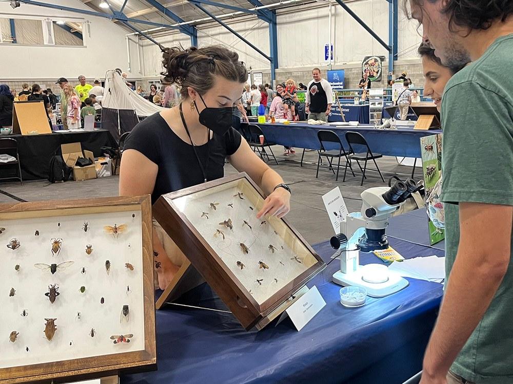 Great Insect Fair to feature animal zoo, hands-on learning Sept. 12