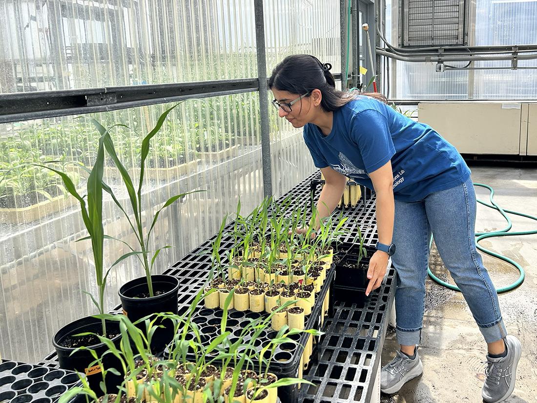 student in lab