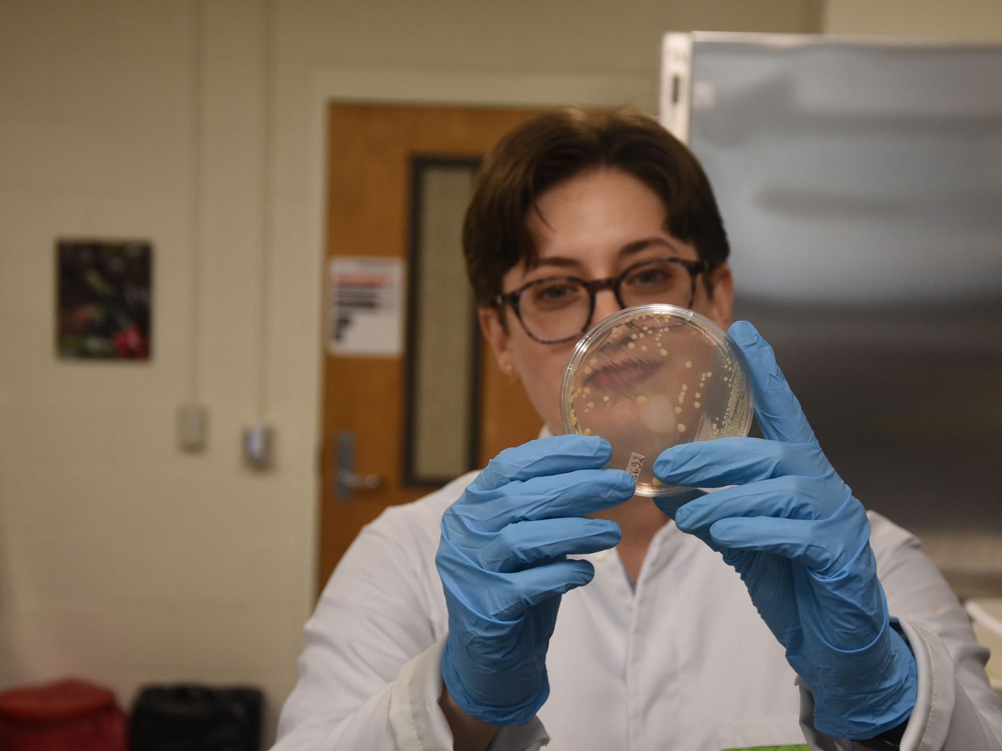 a researcher in a lab holds a cell culture