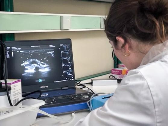 Colleen McKenzie completes an ultrasound training.