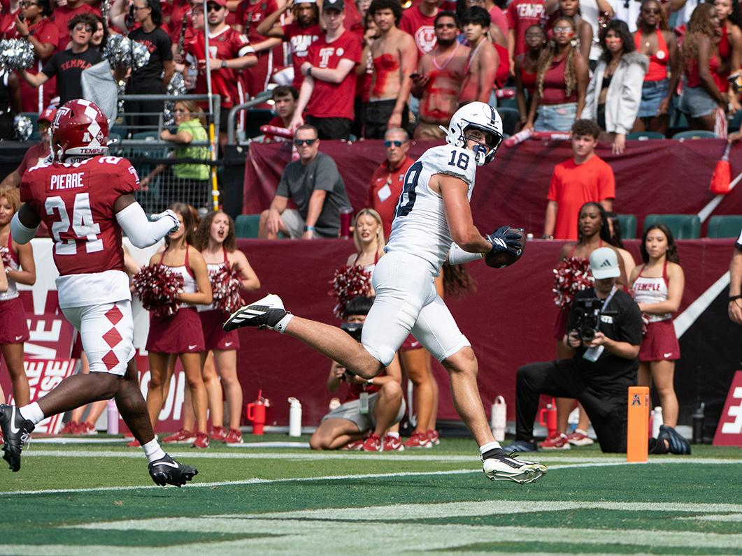 Player scores touchdown