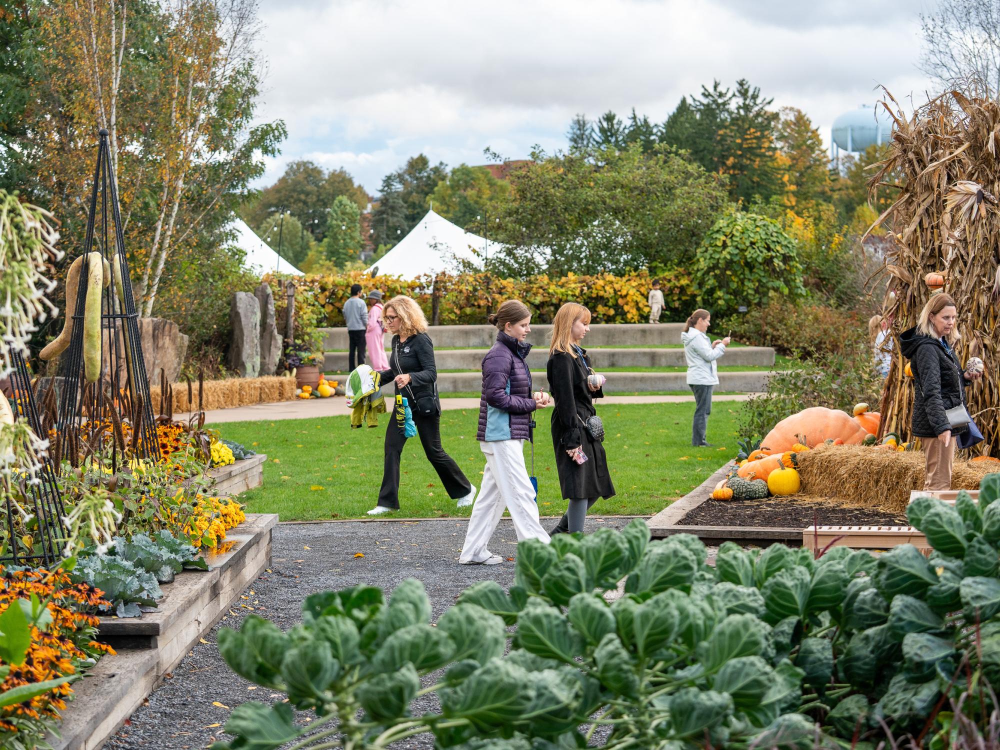 Visitors walk through a garden featuring colorful fall flowers, pumpkins, gourds and corn stalks