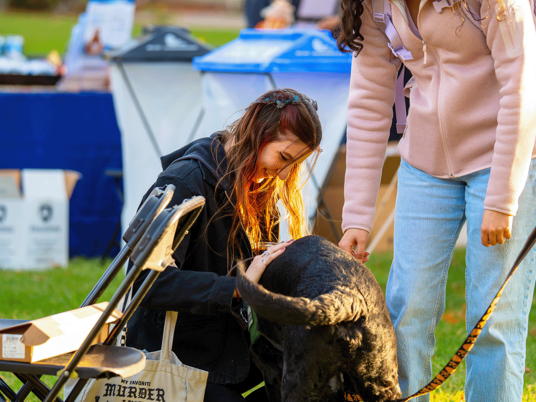 Fall Festival attendees enjoyed a meet and greet with some furry friends from Susquehanna Service Dogs!