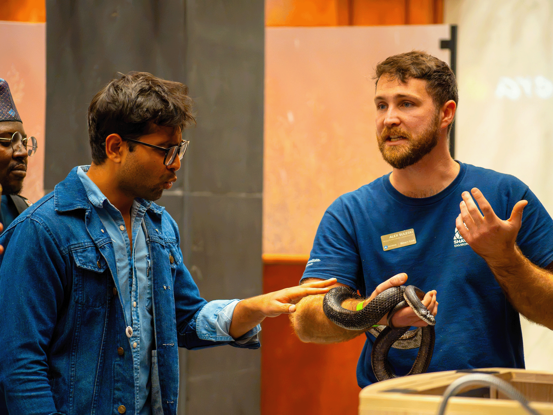 The Shaver’s Creek Environmental Center shows off an Eastern Ratsnake from their herpetarium, located in Petersburg, PA.