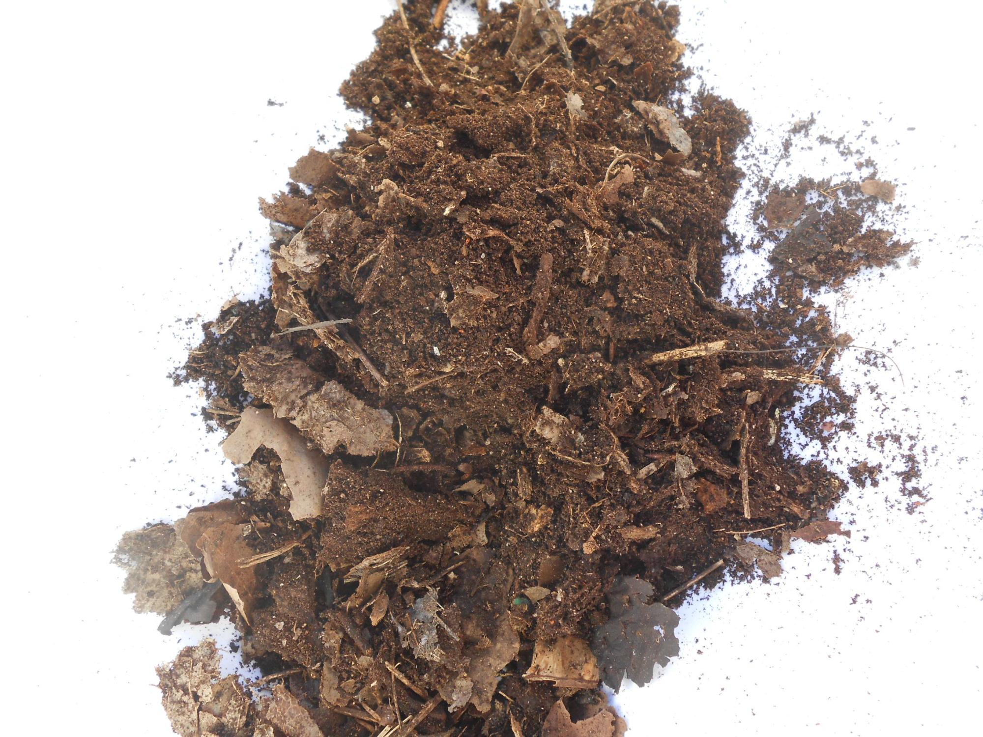 leaf mold