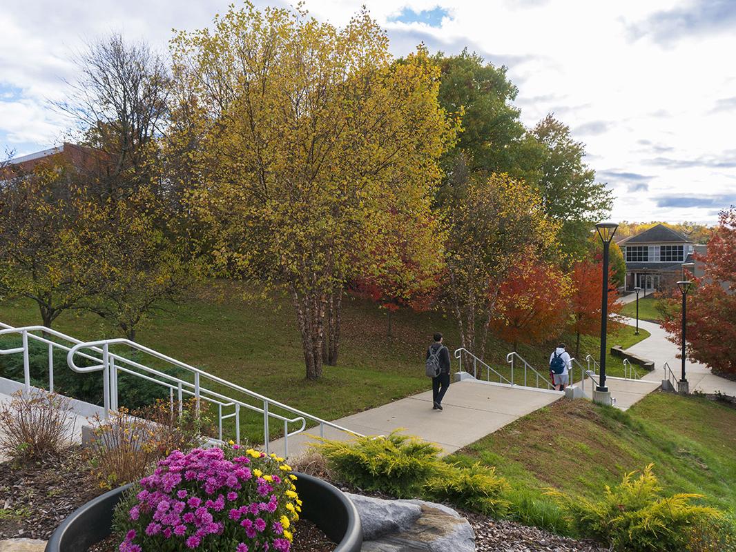 trees and flowering shrubs line dot a walkway leading to the campus library
