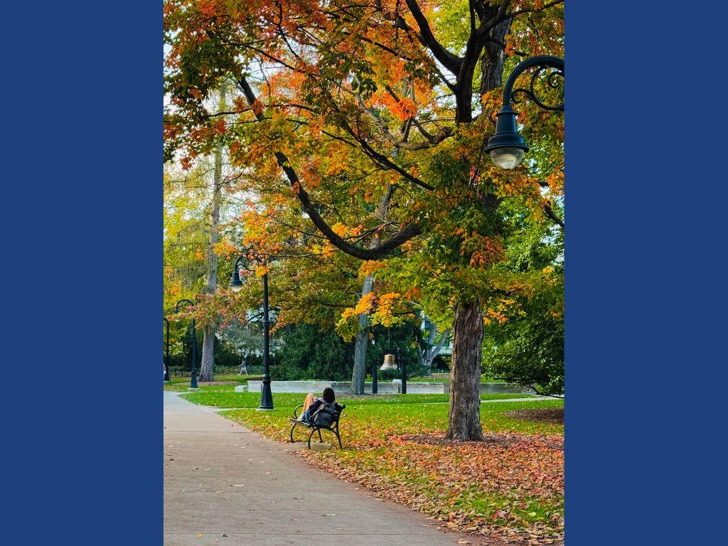  Top pictures from the Penn State Today 2026 fall photo contest 