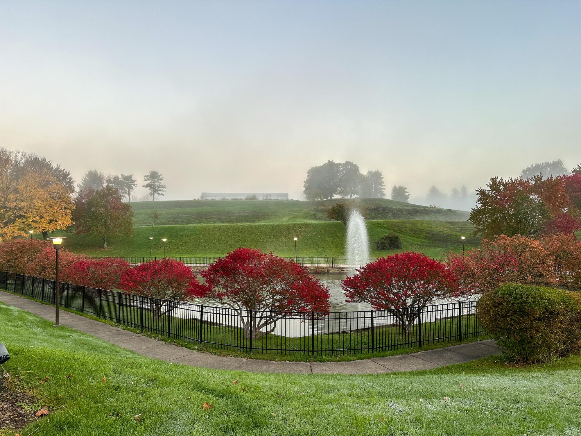 Early morning view of a fountain behind red autumn trees and a walkway with green grass.