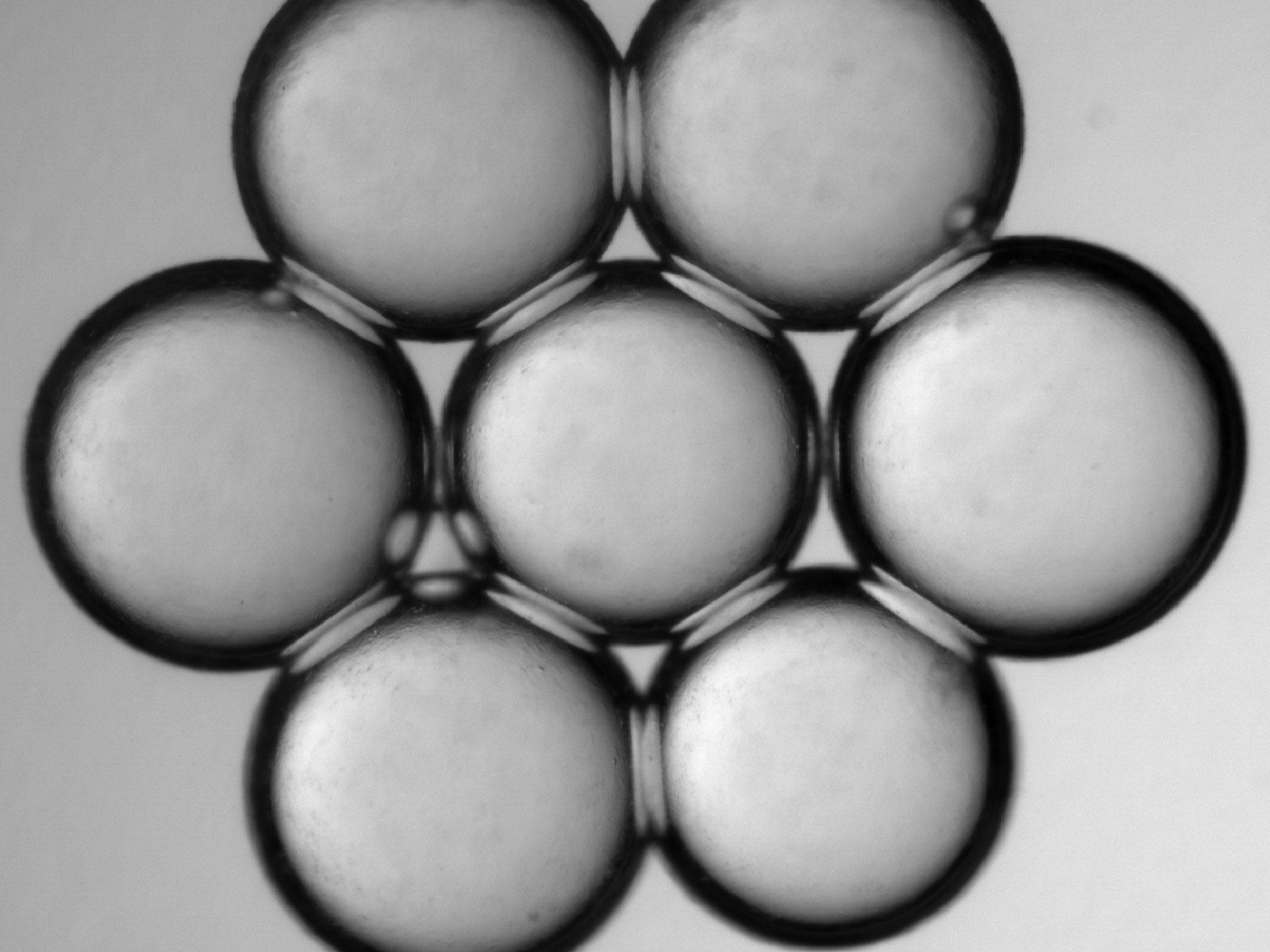 A research figure showcases 7 indiviudal nodes joined together to form a honeycomb shape of droplets