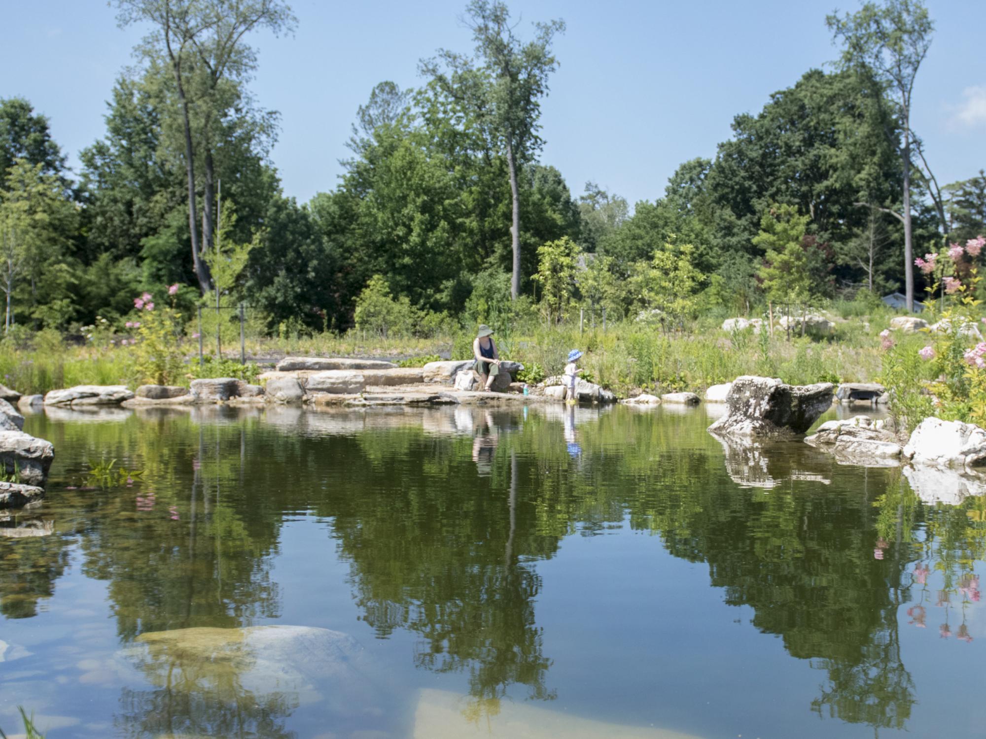 Pond at Arboretum