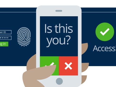 Two-factor authentication identity verification graphic