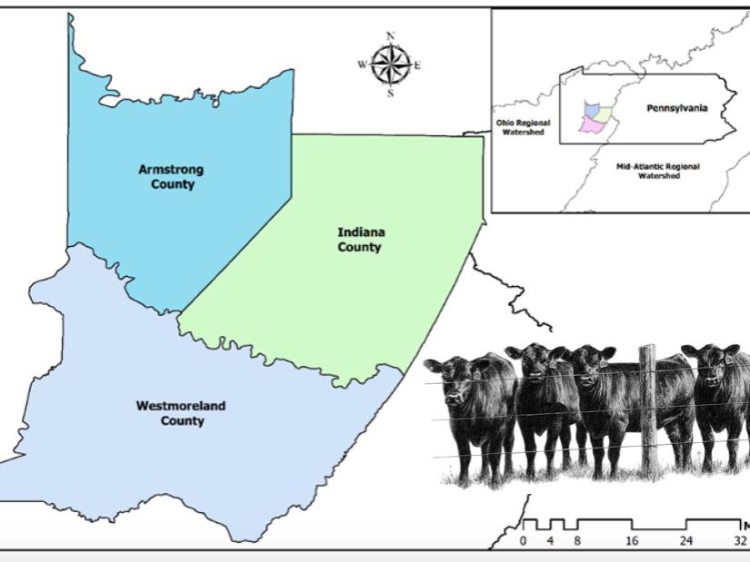3 county map