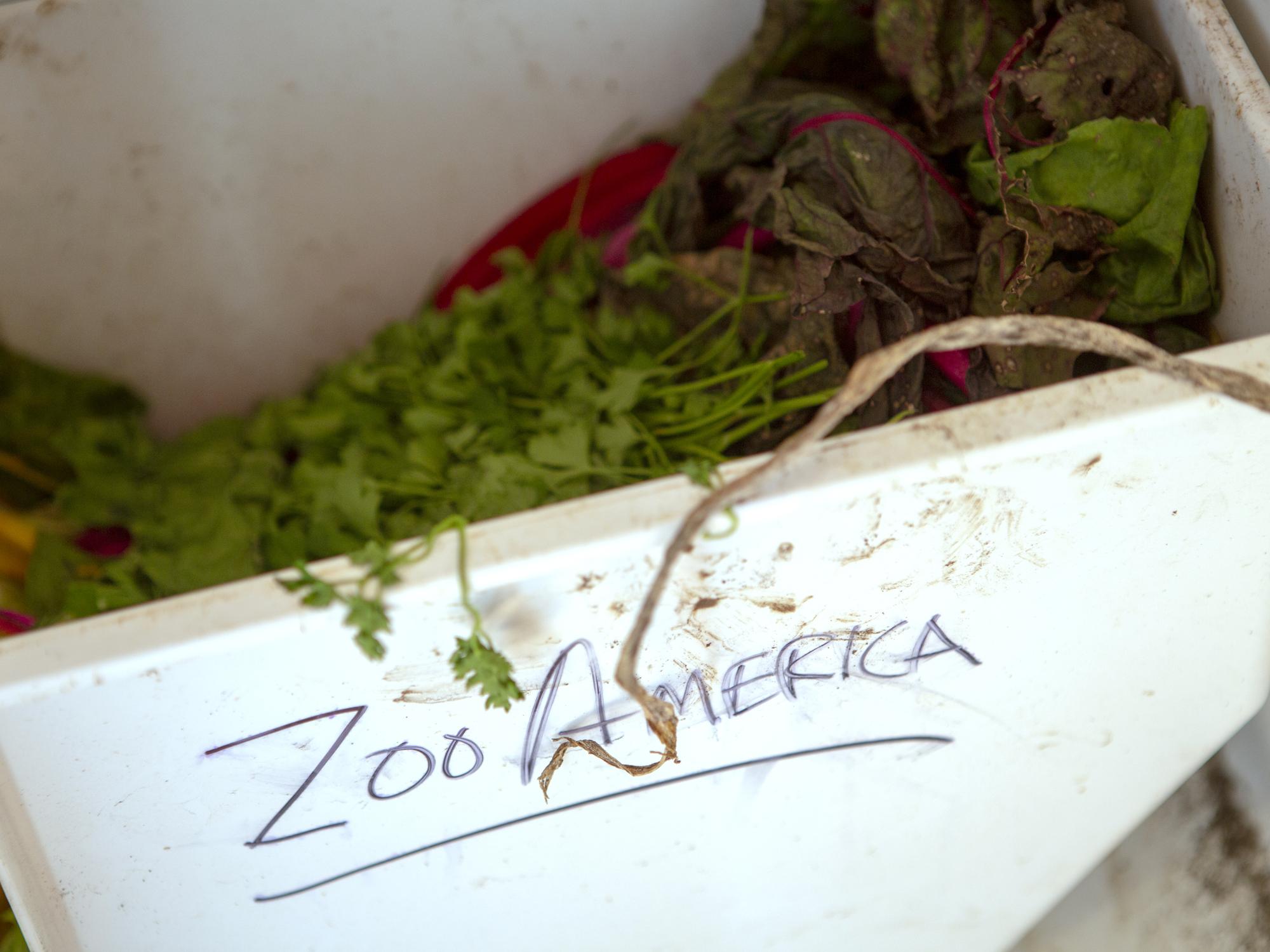 Hershey Community Garden