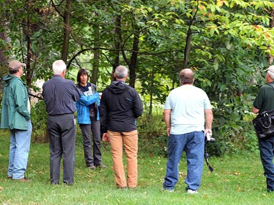 Dr. Beth Brantley shows members of the Cumberland Woodland Owners Association a grove of Chinese chestnut and American chestnut trees on the Penn State Mont Alto campus.