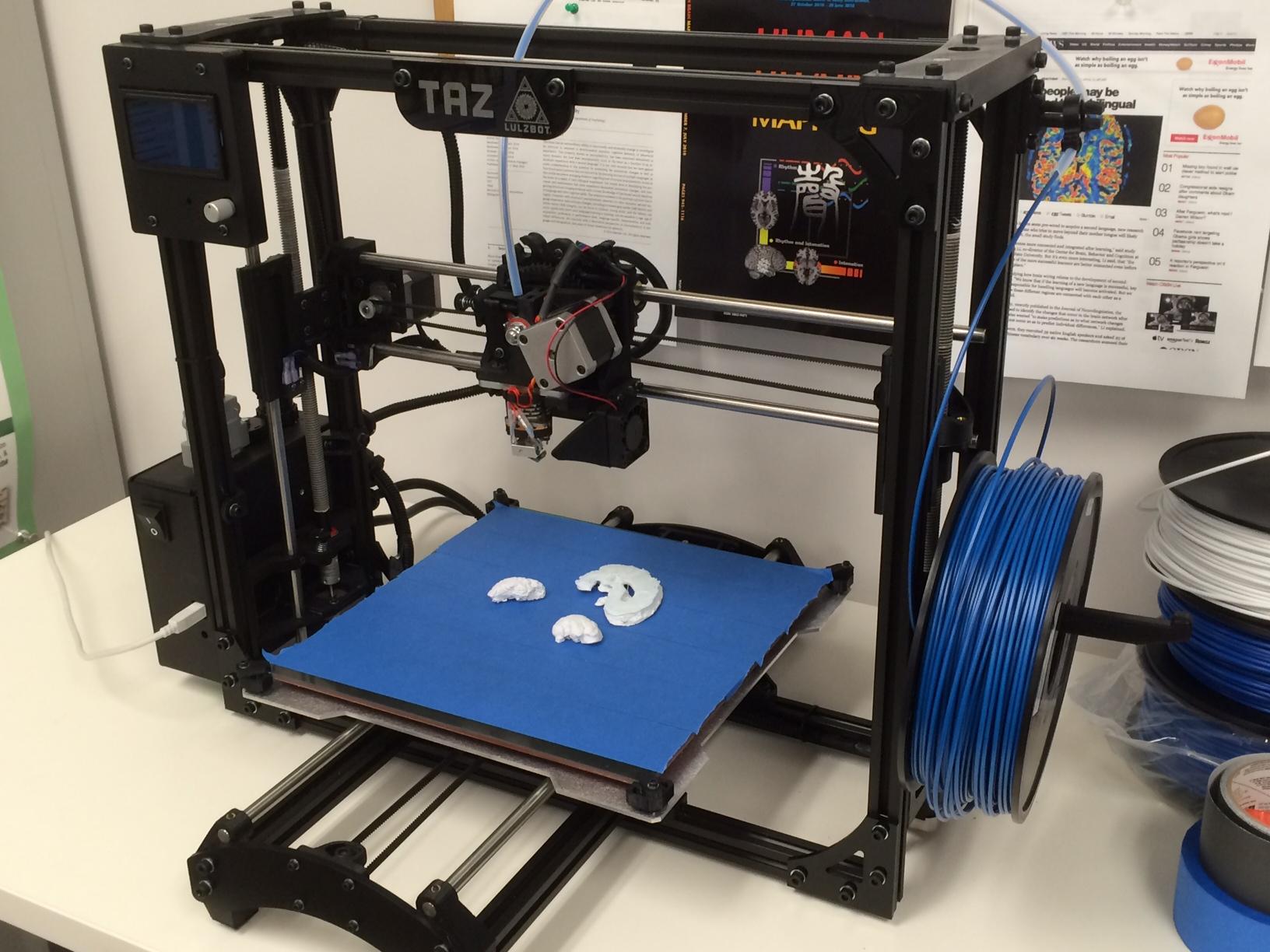 A 3-D printer and 3-D printed brain structures 