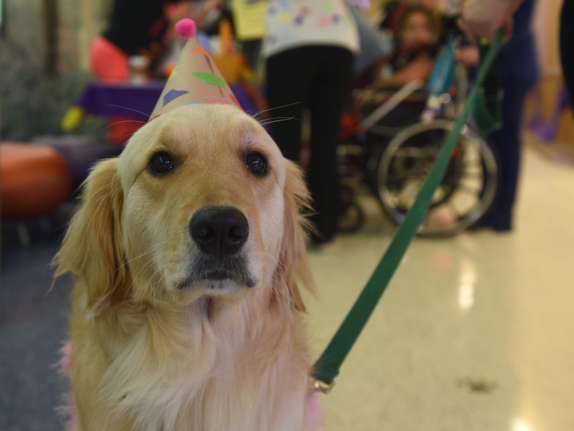 Halloween Parade at Penn State Children's Hospital