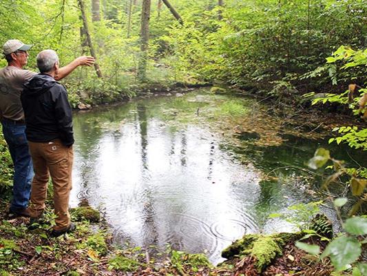 Craig Houghton (right) shows a member of the Cumberland Woodland Owners Association the natural bubbling spring near the site of the1876 Cold Springs Hotel.
