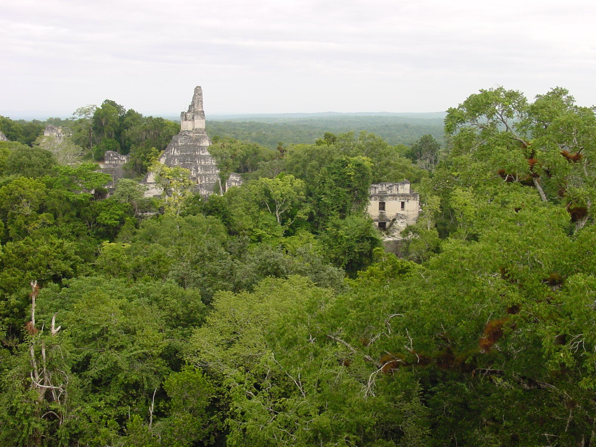 view through jungle of the Maya city of Tikal