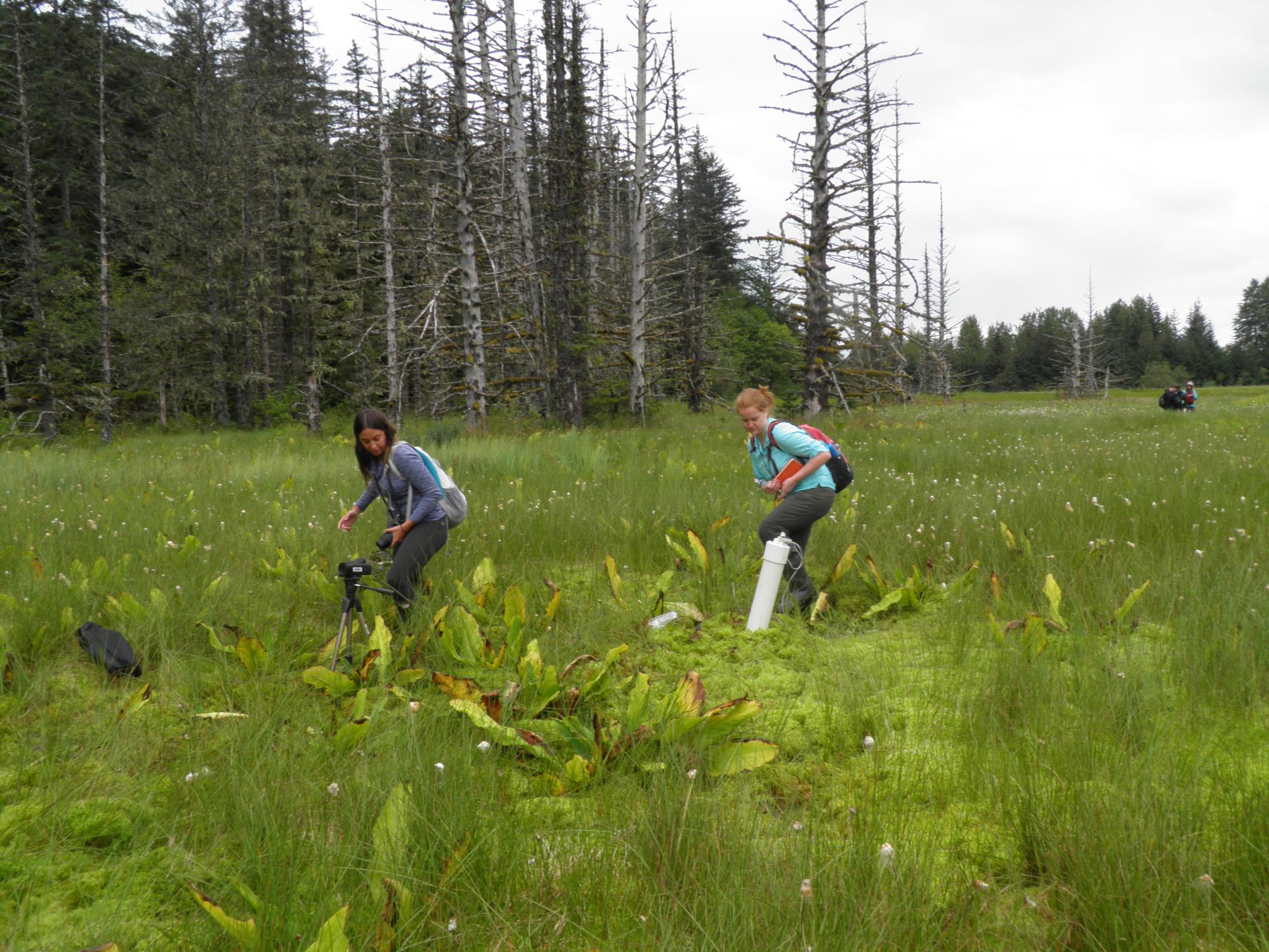 Students sample methane