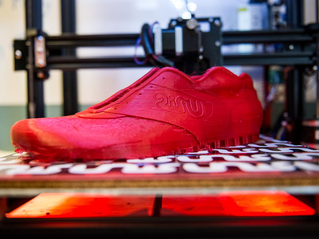 A photo of a 3D printed shoe 
