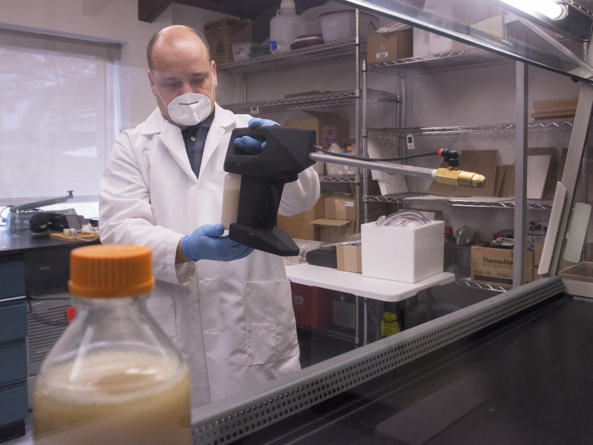 Bed Bug Lab-Giovani Bellicanta