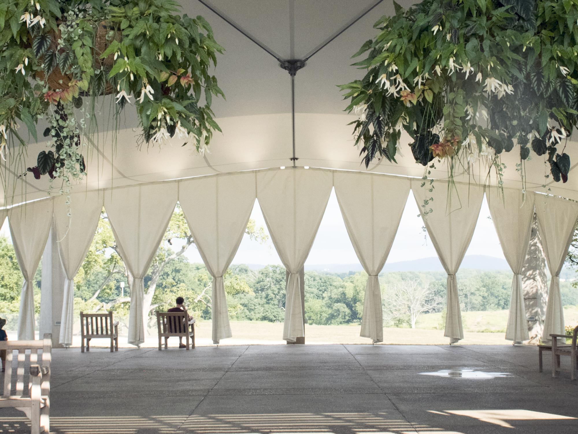 Arboretum Overlook Terrace 