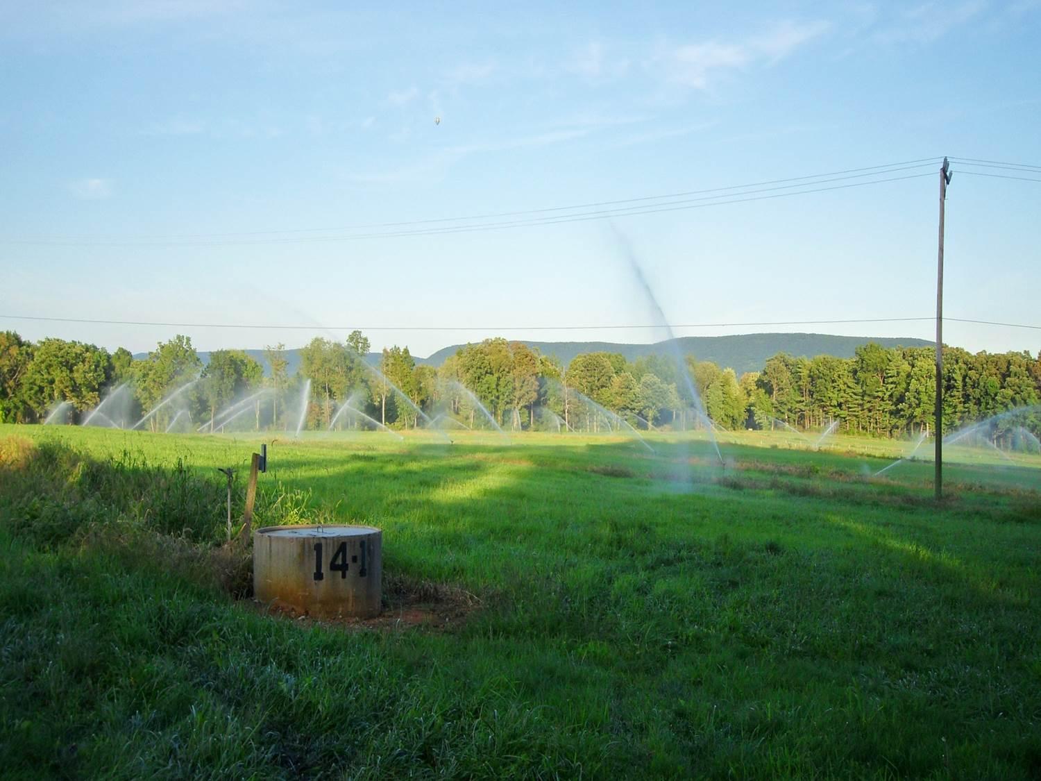 sprinklers at living filter