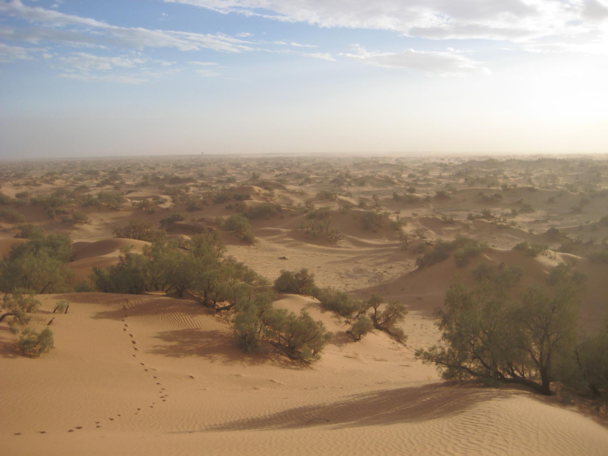 Rolling sand dunes near Agadir, Morocco