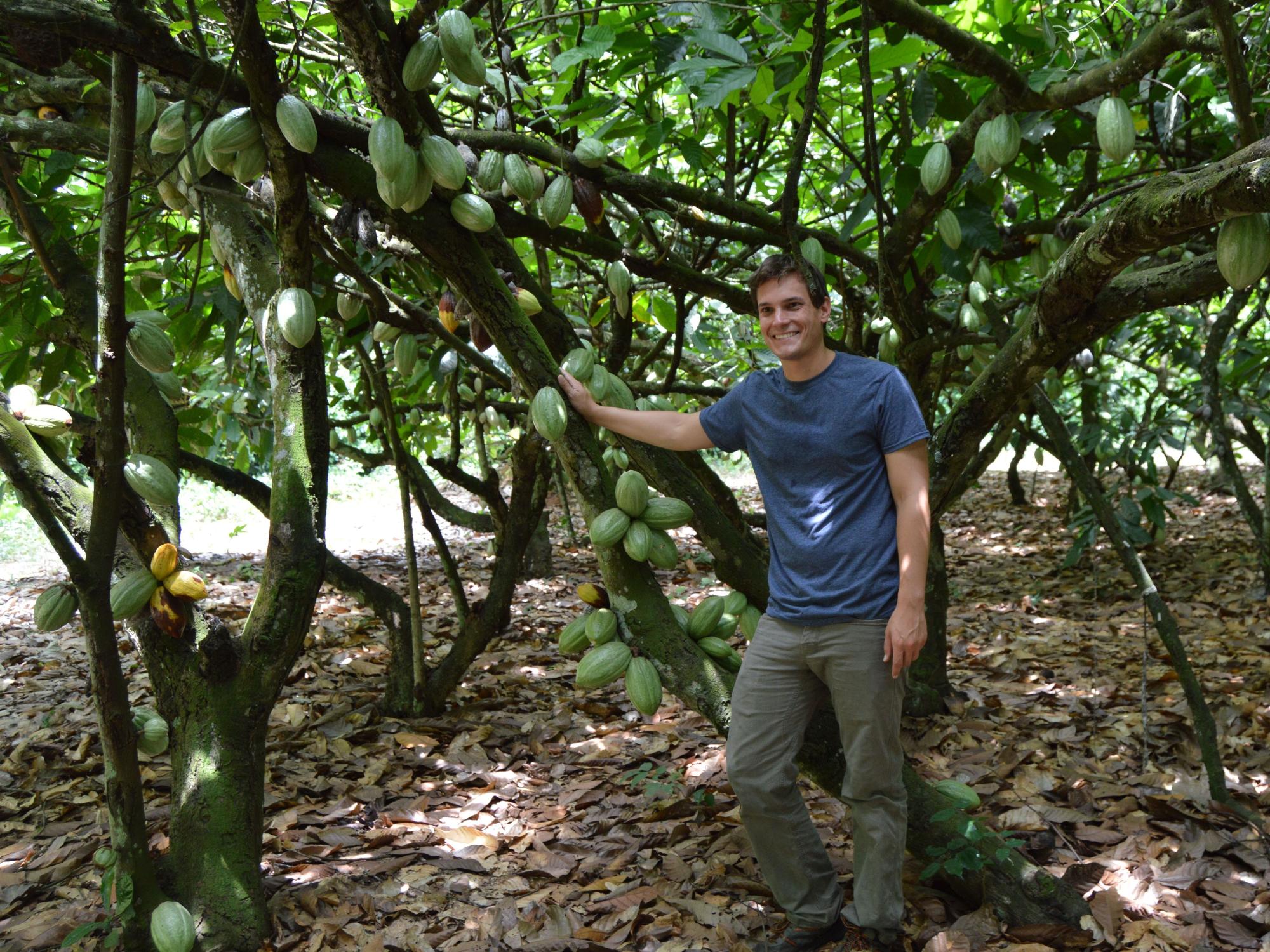 Andrew Fister with cacao trees 