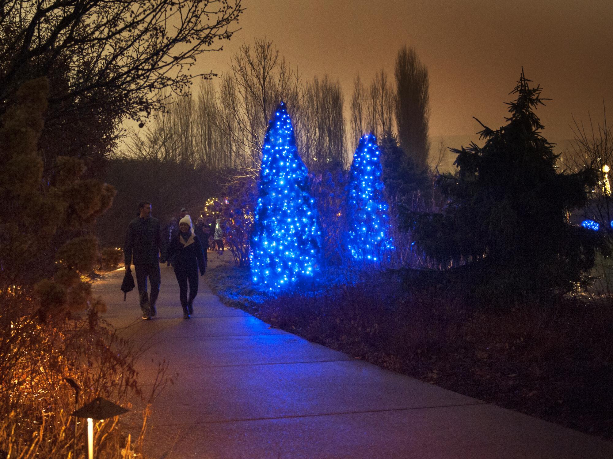 Arboretum Winter Celebration