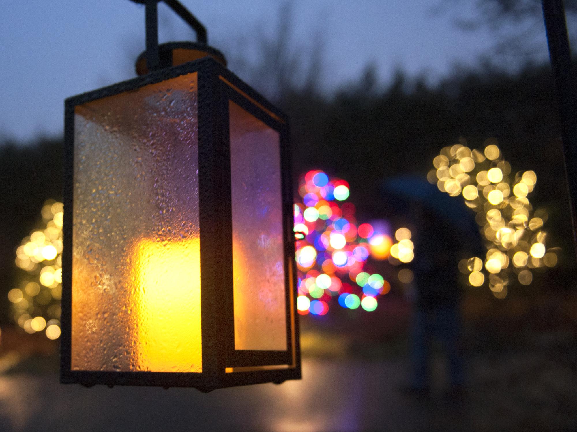 Arboretum Winter Celebration