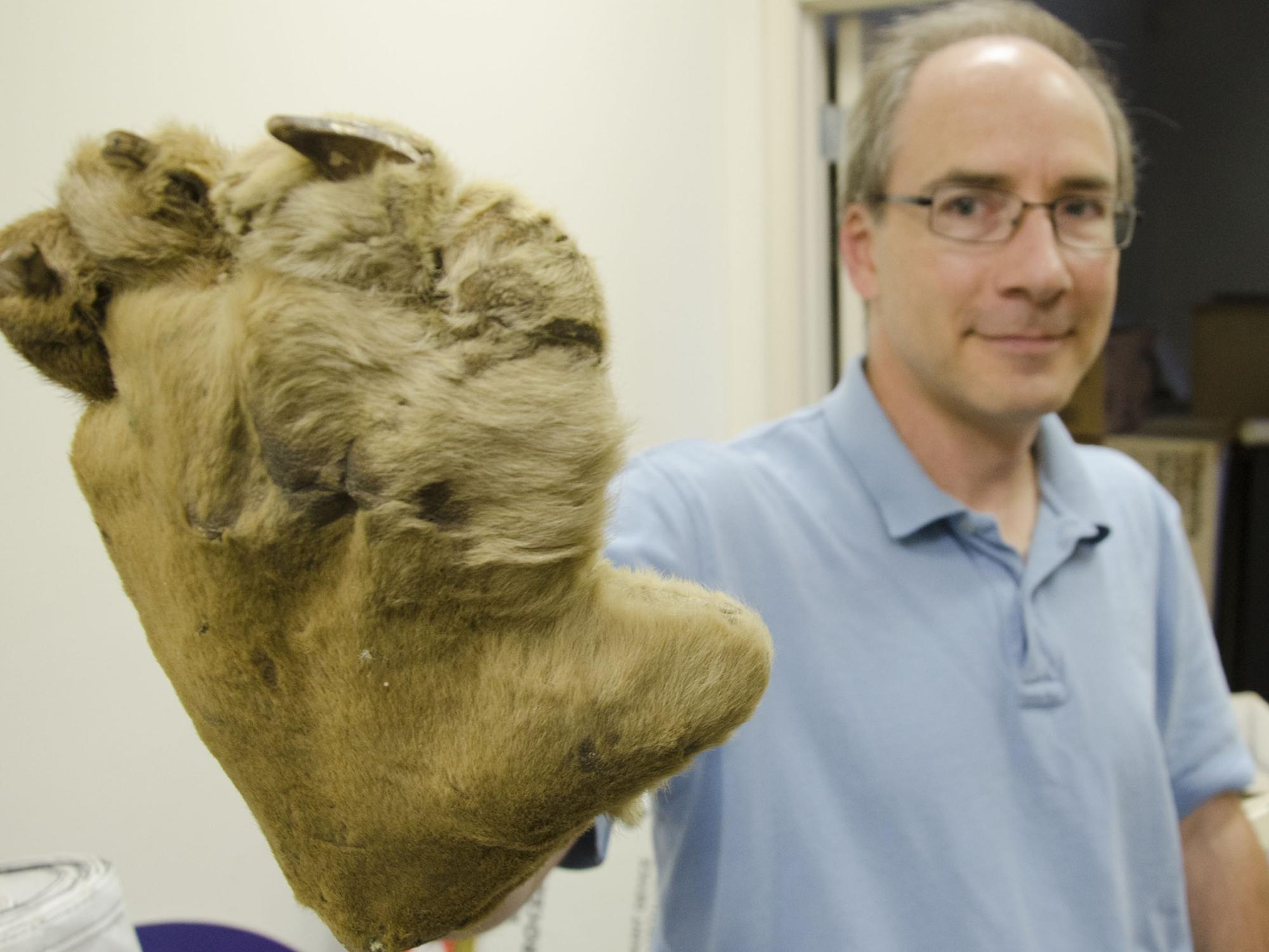 Paul Dzyak shows a paw from an old Nittany Lion costume